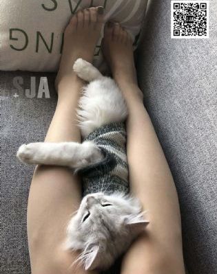 姐妹4第一集免费观看_剧情片HD在线观看